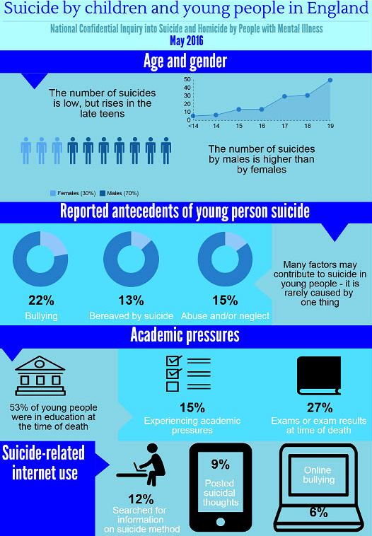 New Youth Suicide Study Reveals Triggers - Infographic 1