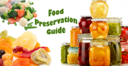 Food Preservation Guide – Getting Started