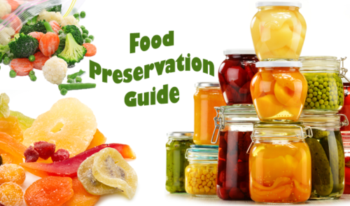 Food Preservation Guide – Getting Started