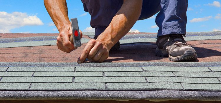 How to Choose the Right Roofing for Your Home (Infographic)