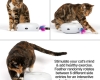 Electronic Hunting Cat Toy