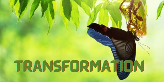 True Transformation: 6 Life-Changing Mindset Shifts