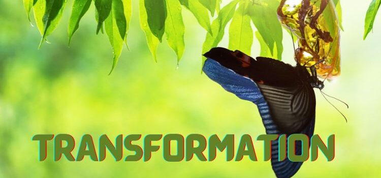 True Transformation: 6 Life-Changing Mindset Shifts